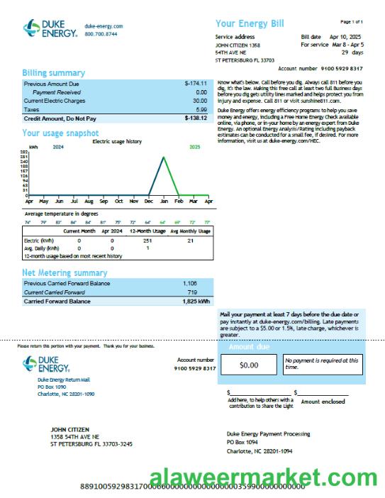 USA Duke Energy utility bill template in Word and PDF formats, version 4